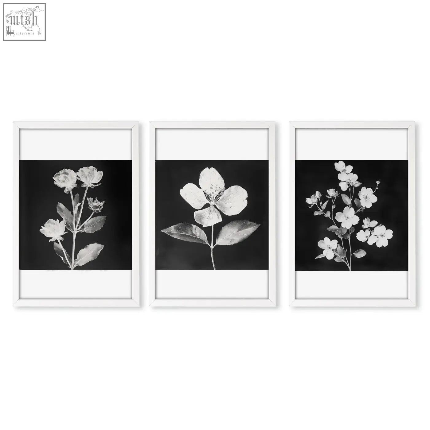 Set of three framed black and white botanical prints in white frames for living room with french country style