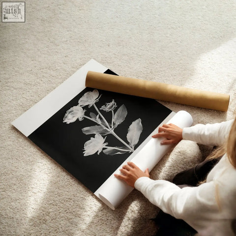 Black and white botanical wall prints on matte paper with wide white border perfect for french country living room decor