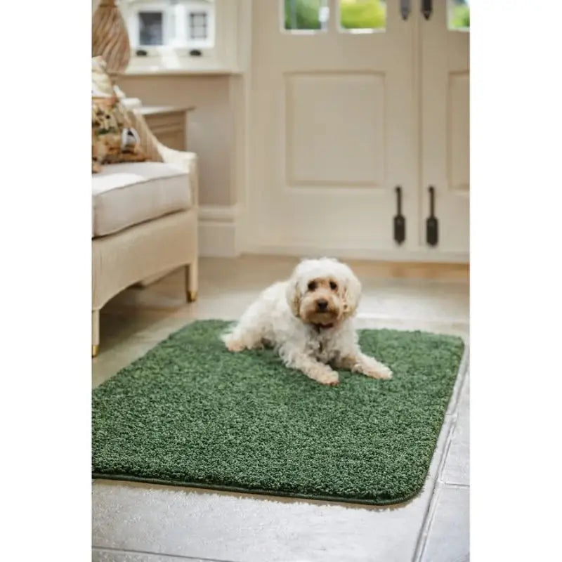 Washable Forest Green Shaggy Rug - Rugs