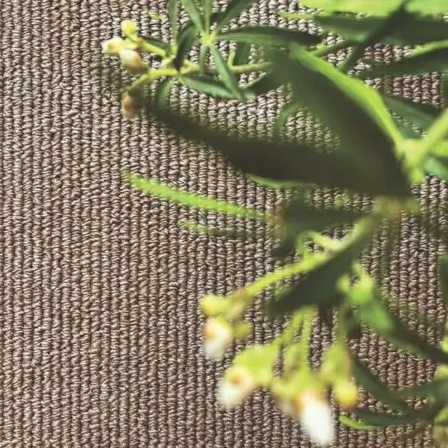 Washable Mat and Runners Plain Design - Rugs