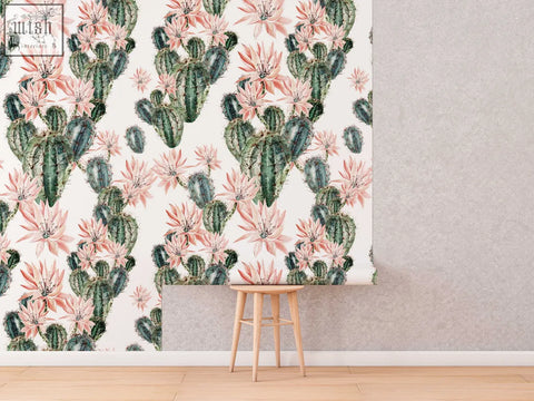 Watercolour cactus flowers removable wallpaper with pink floral botanical illustration on traditional paper for living space by clickwalls
