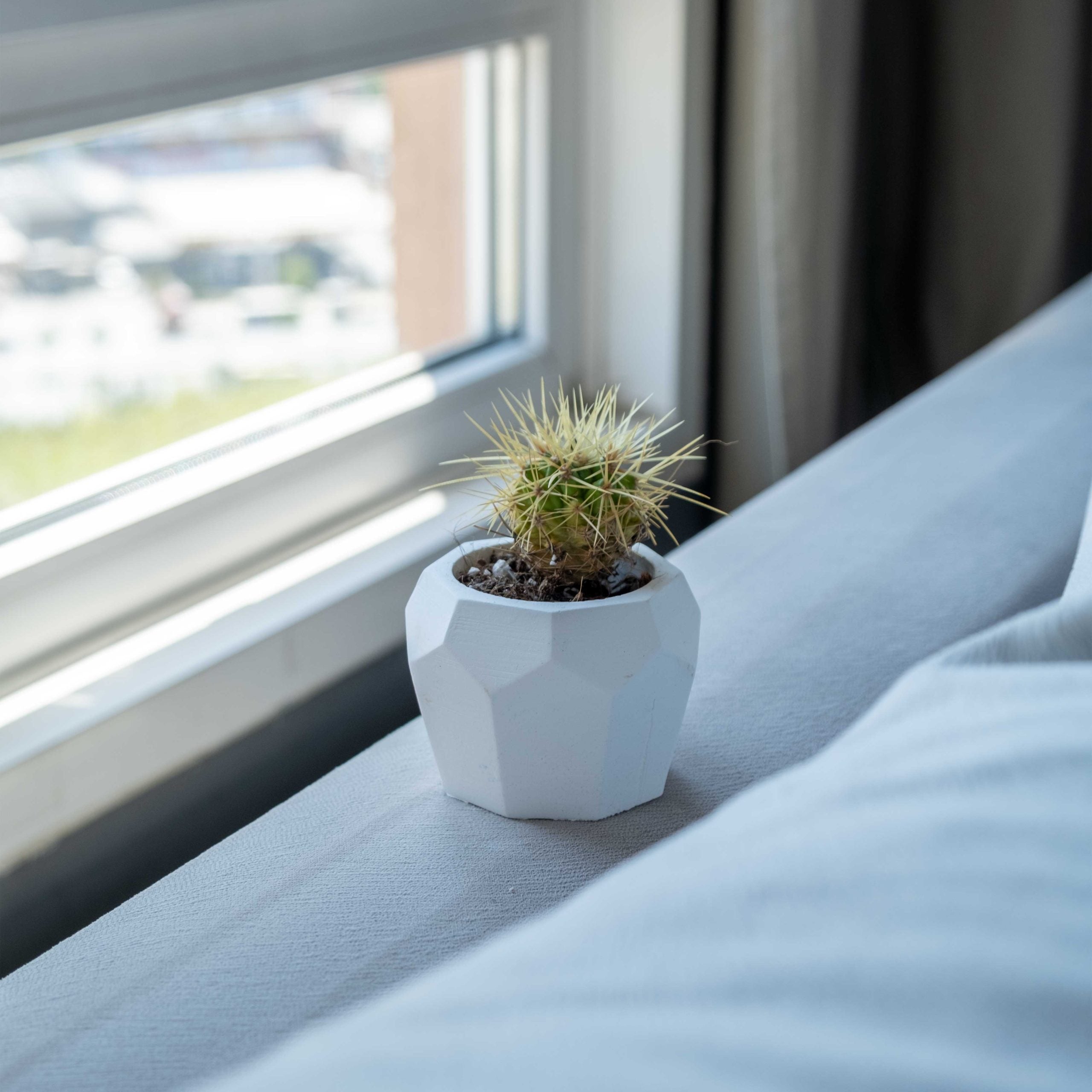 A white concrete bee-home pot holding a geometric ceramic pot with a spiky green cactus with yellowish needles
