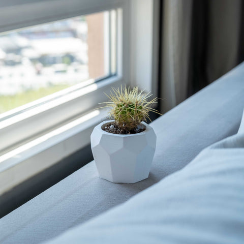 A white concrete bee-home pot holding a geometric ceramic pot with a spiky green cactus with yellowish needles