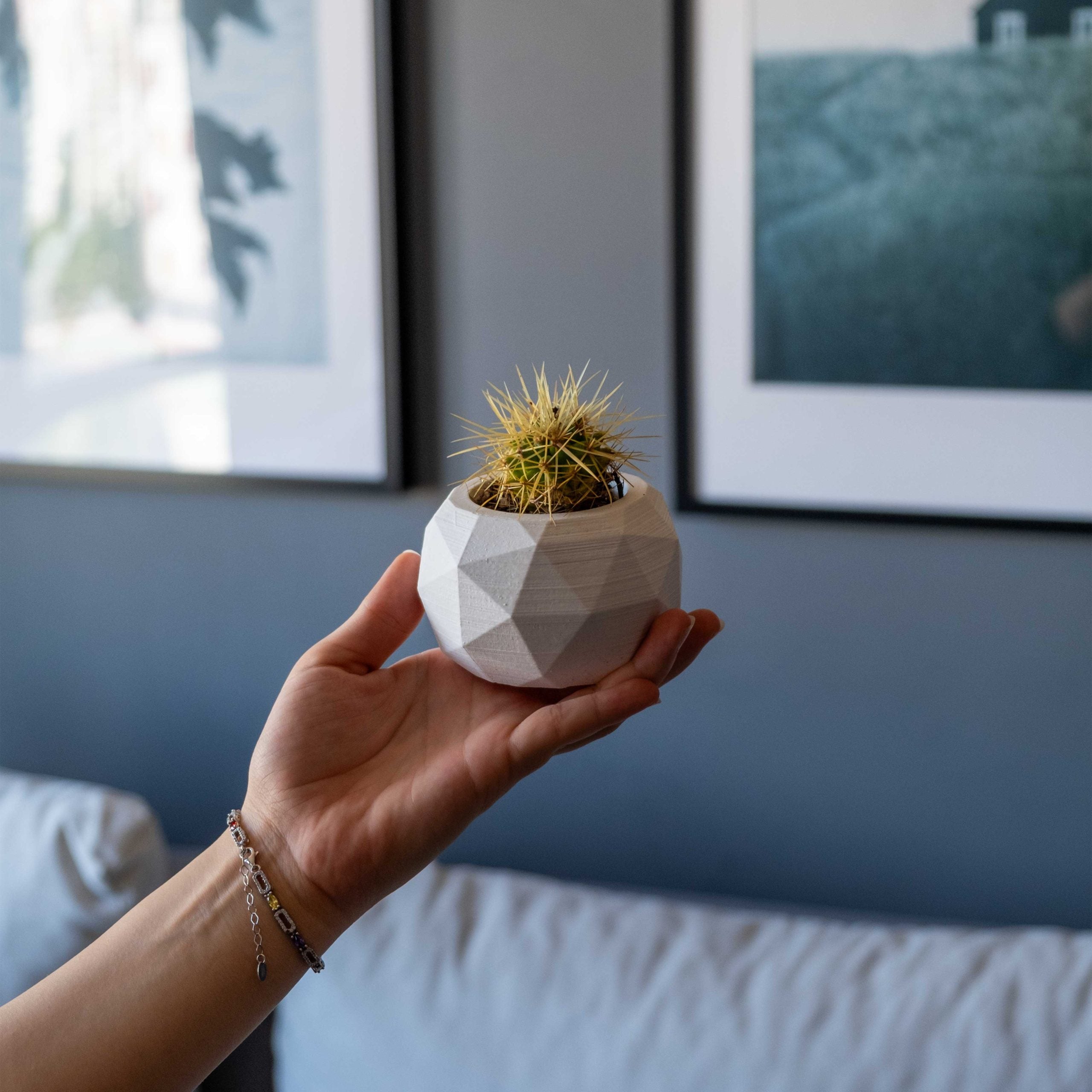 A white concrete diagonal geometric ceramic planter holding a spiky golden cactus for modern decor