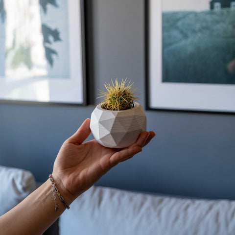 A white concrete diagonal geometric ceramic planter holding a spiky golden cactus for modern decor