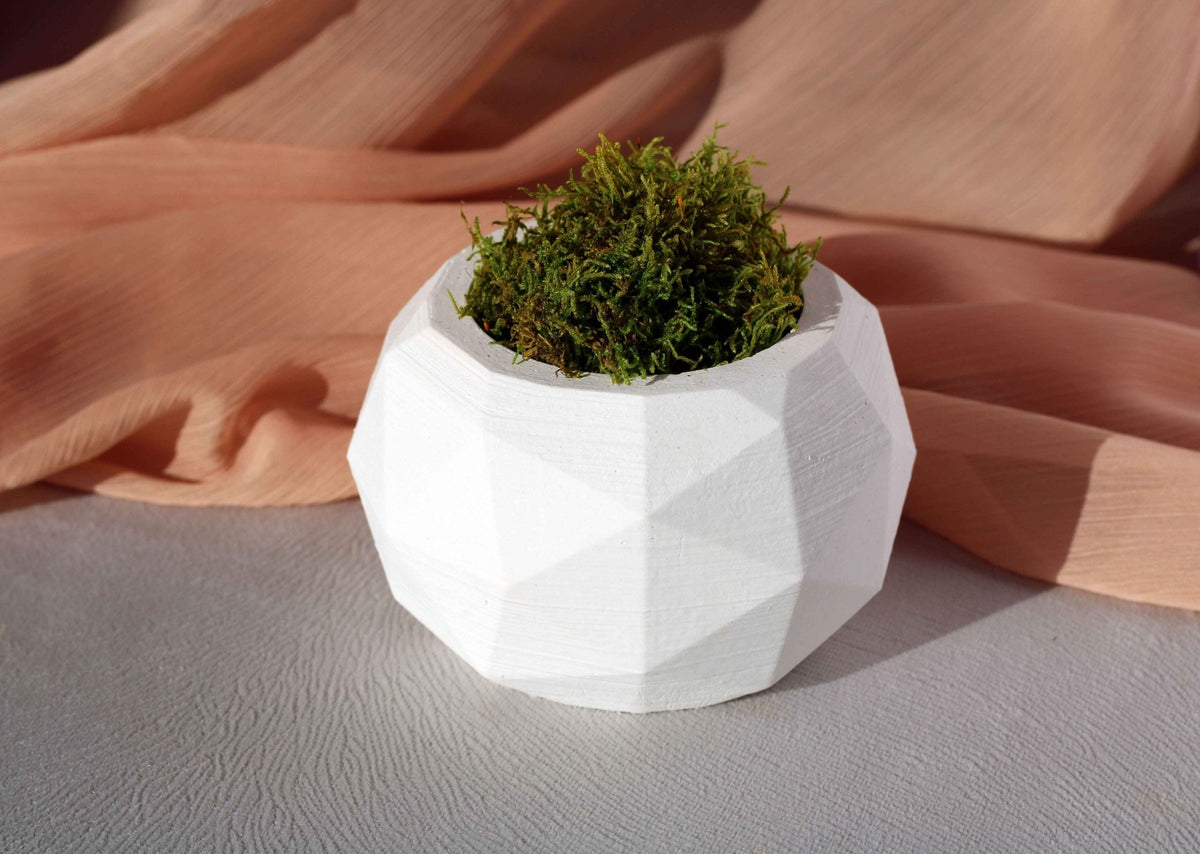 White concrete diagonal pot with a textured faceted surface holding vibrant green moss in a geometric planter