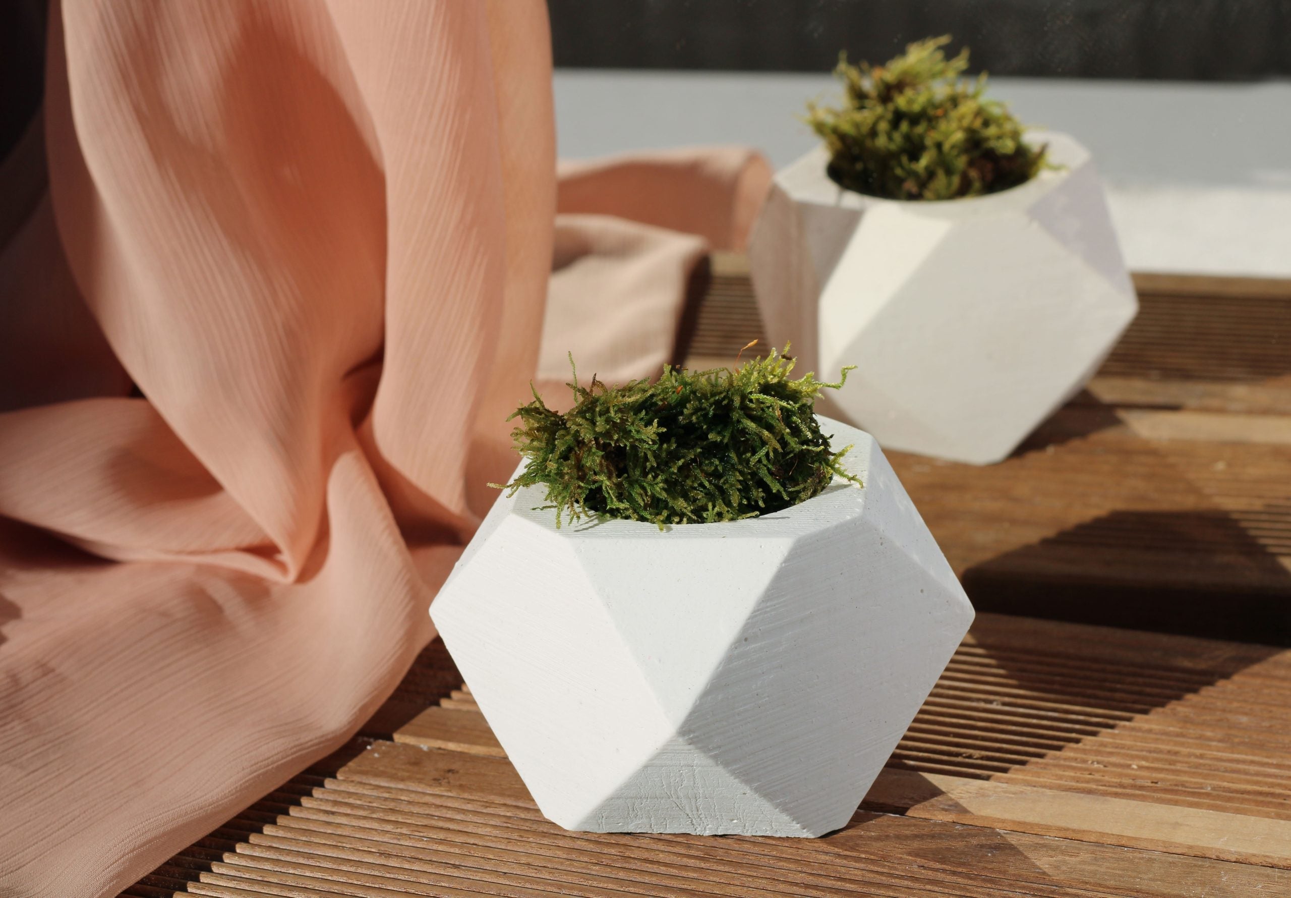 White concrete hexagonal pot with a geometric faceted design holding green moss for modern decor
