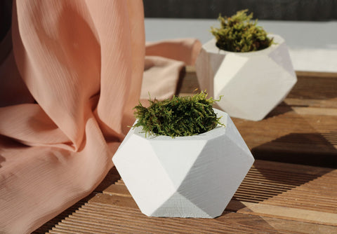 White concrete hexagonal pot with a geometric faceted design holding green moss for modern decor