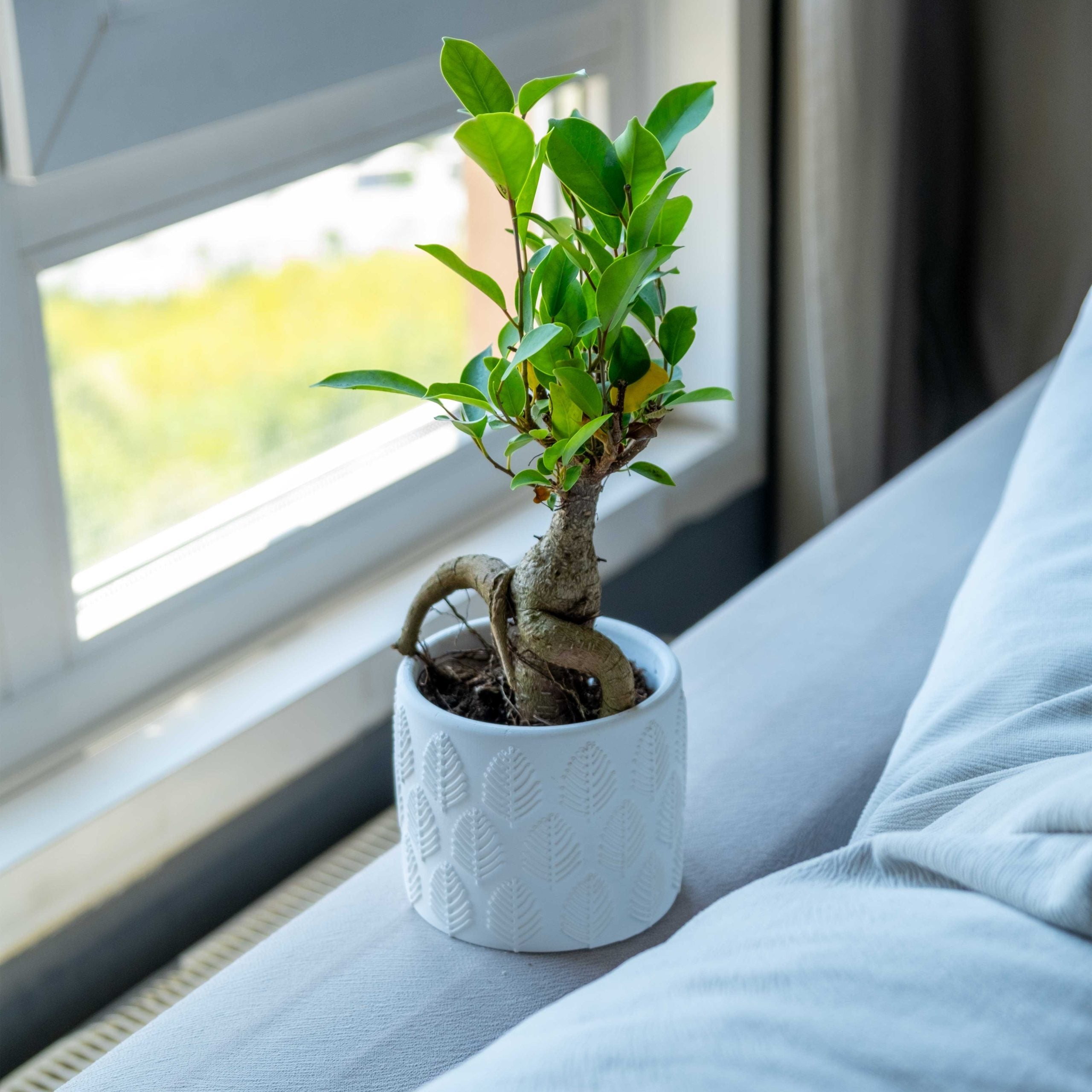 A white concrete pot with leaf texture holds a green concrete bonsai featuring white concrete ivy and exposed roots