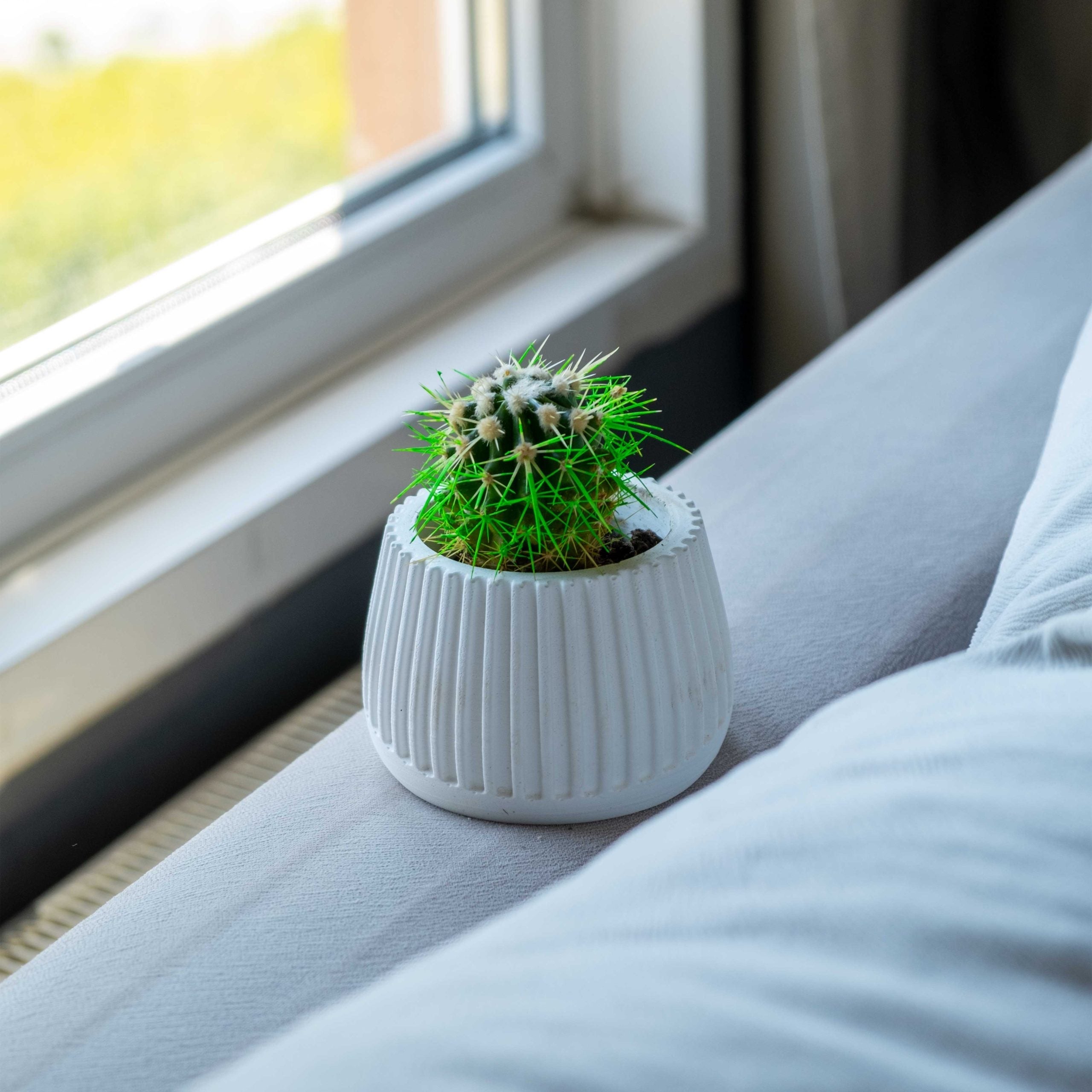 A white concrete mug pot with ribbed texture holding a spiky green cactus in a ceramic style