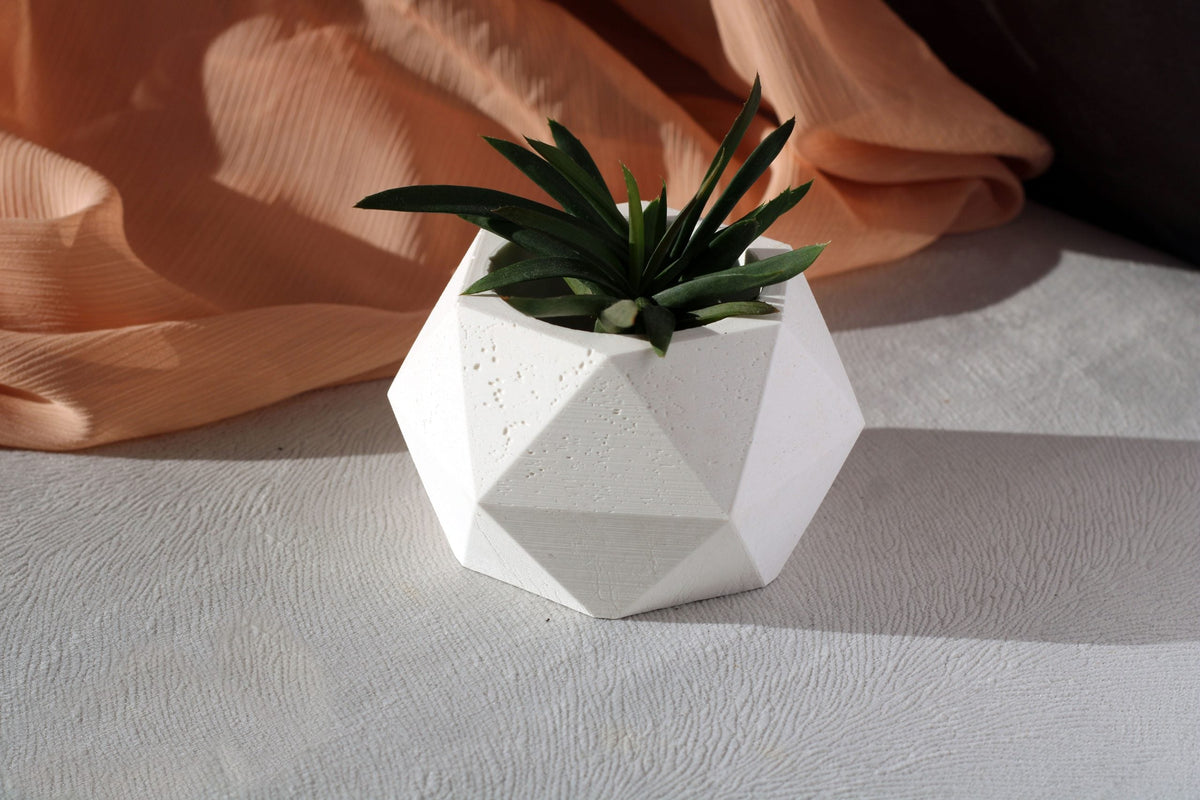 White concrete polygonal pot holding a dark green succulent in a geometric concrete planter design