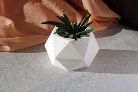 White concrete polygonal pot holding a dark green succulent in a geometric concrete planter design