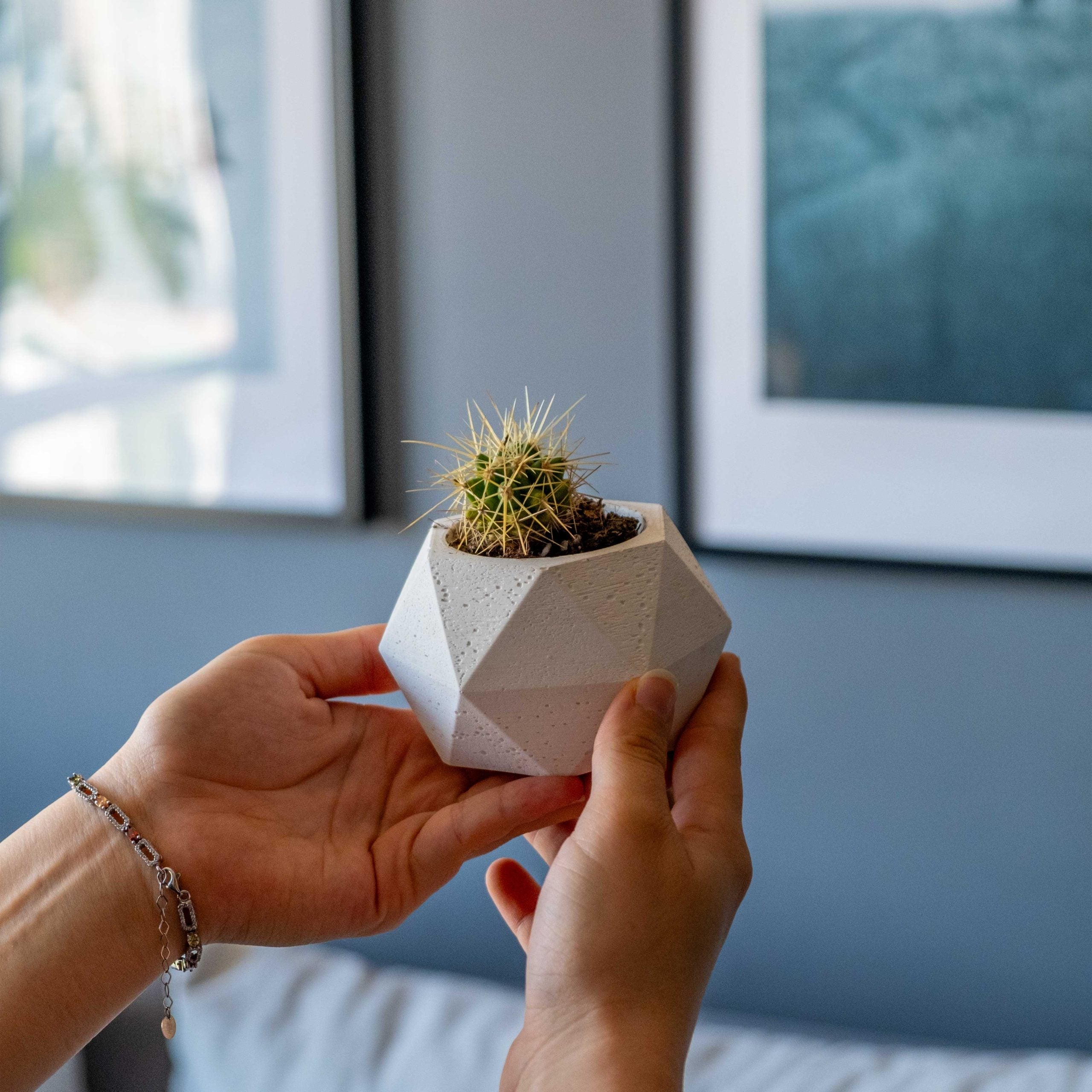 A white concrete polygonal pot holding a small spiky green cactus in a geometric faceted design