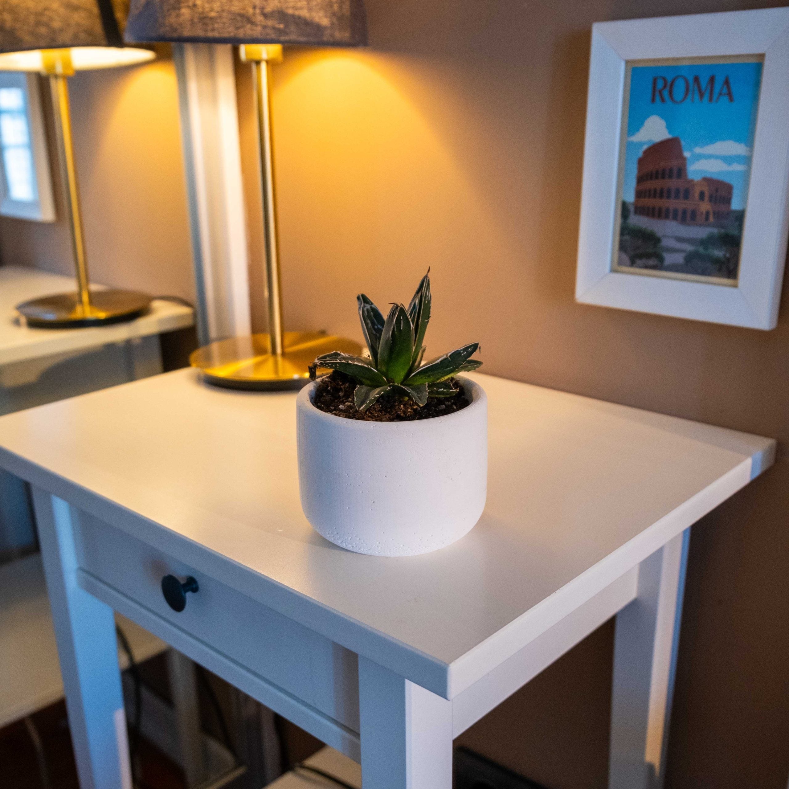 White concrete wiener pot holding a green succulent plant in a white ceramic container for indoor decor
