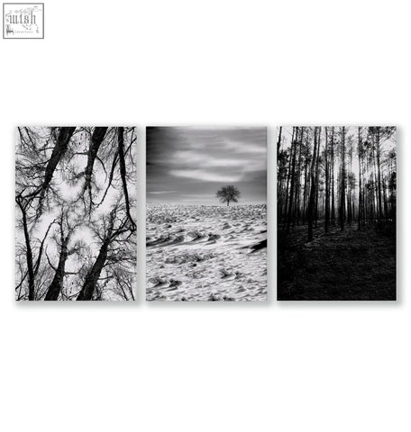 Set of three black and white wildlife wall art prints featuring winter forest scenes in sleek frames