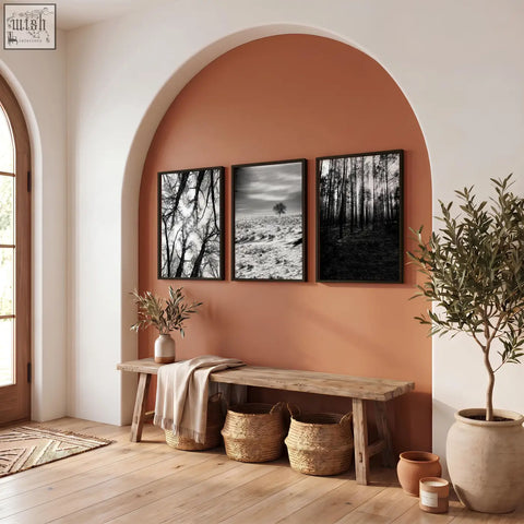 Three black-framed black and white wildlife wall art forest photography prints hang on a warm terracotta arched wall