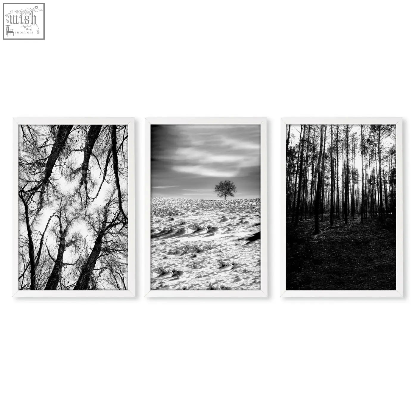 Set of three black and white wildlife wall art photos in minimalist white frames perfect for nature lovers