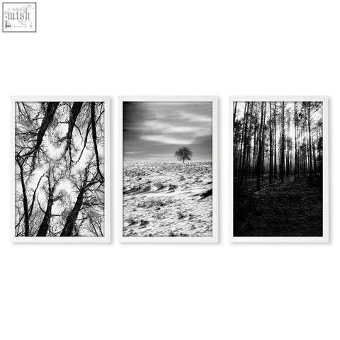 Set of three black and white wildlife wall art photos in minimalist white frames perfect for nature lovers