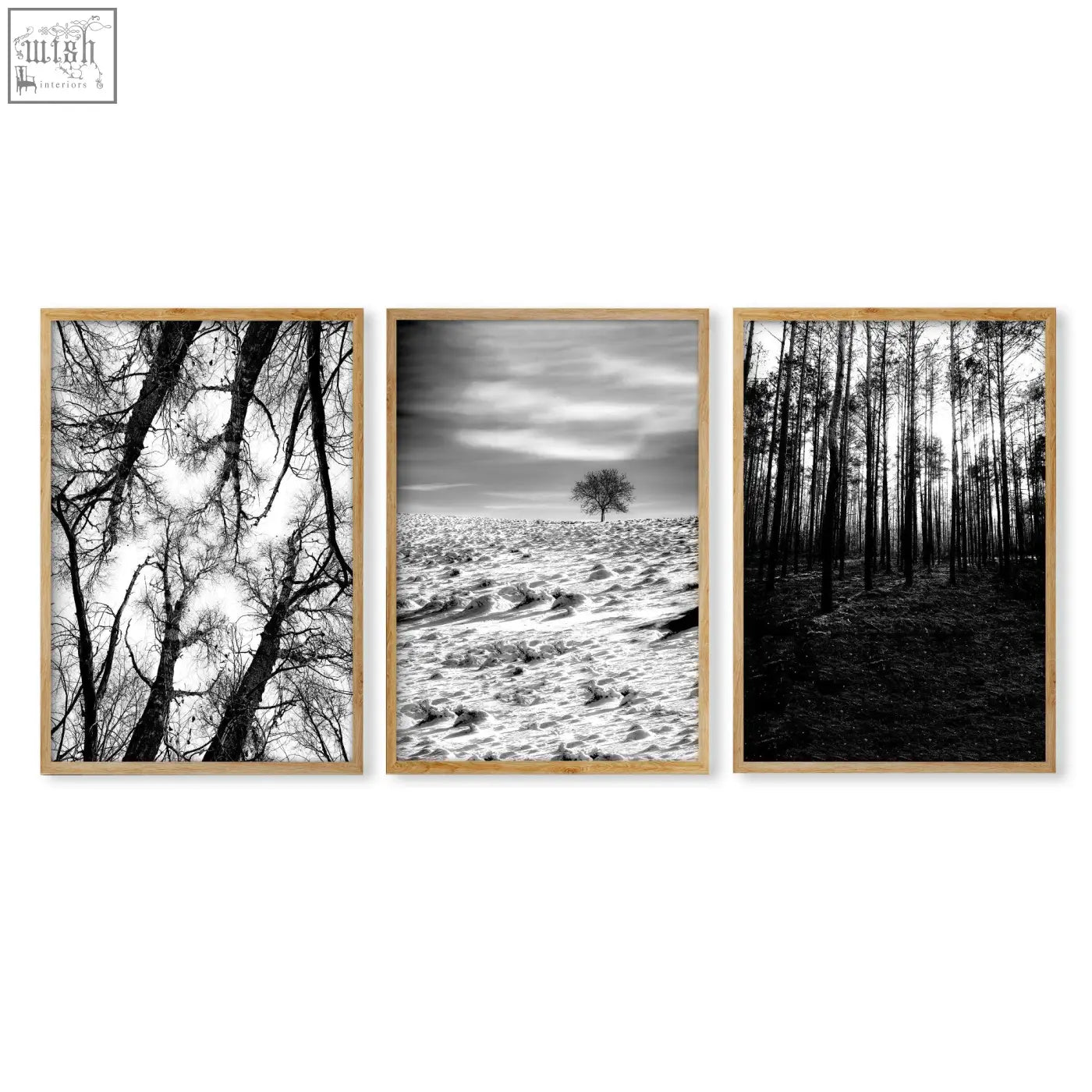 Three framed black and white wildlife wall art photos with light wood frames perfect for nature lovers