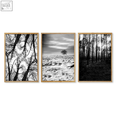 Three framed black and white wildlife wall art photos with light wood frames perfect for nature lovers