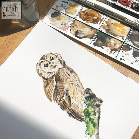 A watercolor mural wallpaper by artist katie of a brown and white owl on a green branch printed on 180gsm non-woven material