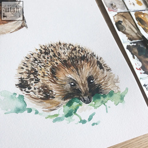 A 52cm pattern woodland animals childrens wallpaper featuring a brown and black spiny hedgehog resting on green foliage