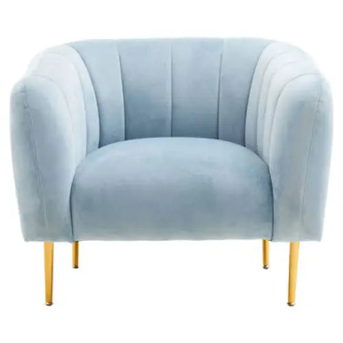 Yasmeen Blue Velvet Armchair - Arm Chair