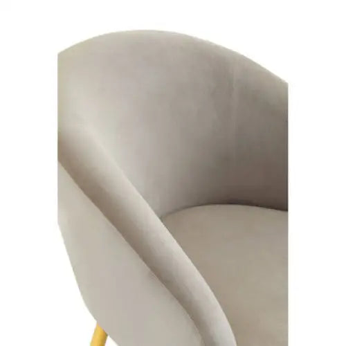 Yasmeen Mink Velvet Chair And Footstool - Arm Chair