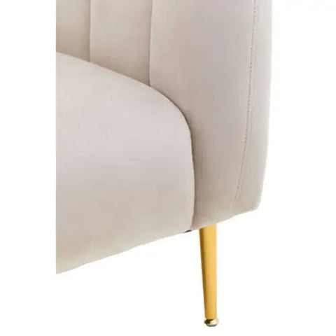 Yasmeen Silver Grey Velvet Armchair - Arm Chair