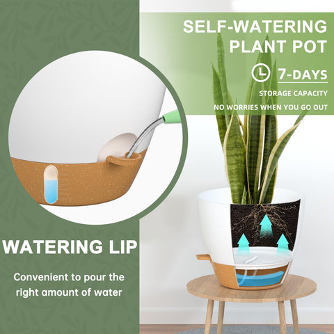 White and tan plastic plant pots with drainage holes saucer and self watering lip for easy indoor outdoor care