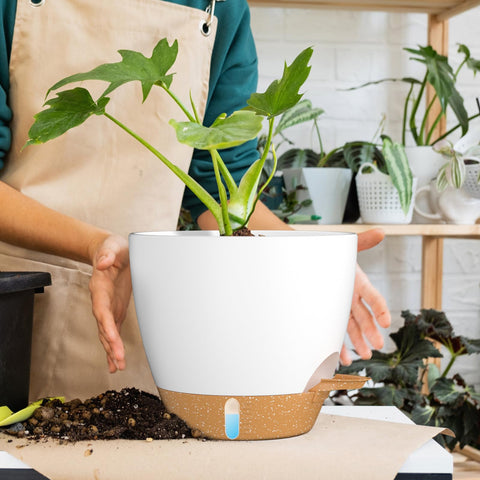 White and tan plastic self watering plant pots with drainage holes saucer and blue liquid indicator for indoor outdoor use